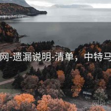 中特网-遗漏说明-清单，中特马上找